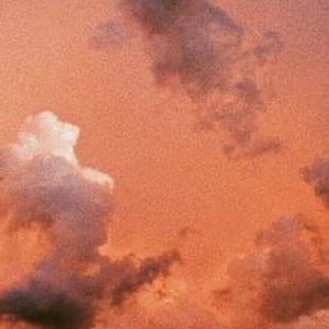 Meet your Posher, Isabella